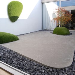patio-Edegem-minimalistisch-zentuin-acer-mos